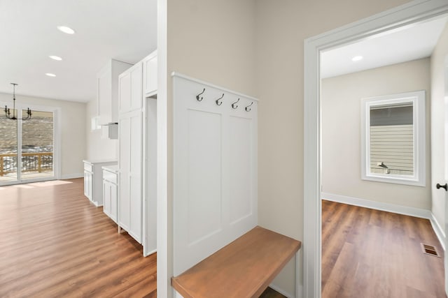 mudroom with dark wood-type flooring