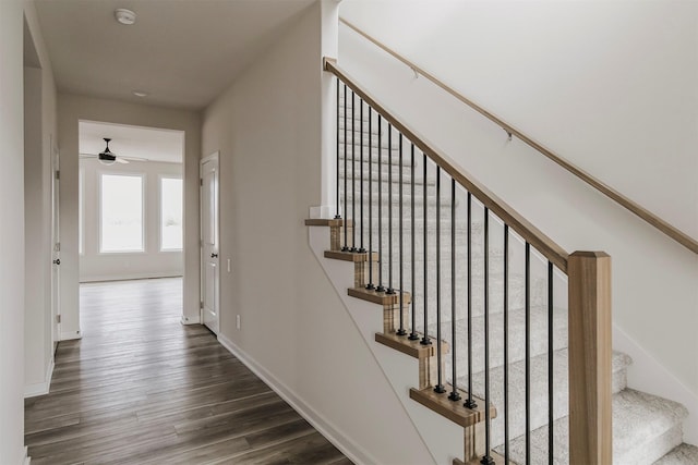 staircase featuring wood-type flooring and ceiling fan