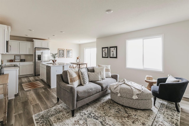 living room with dark hardwood / wood-style flooring