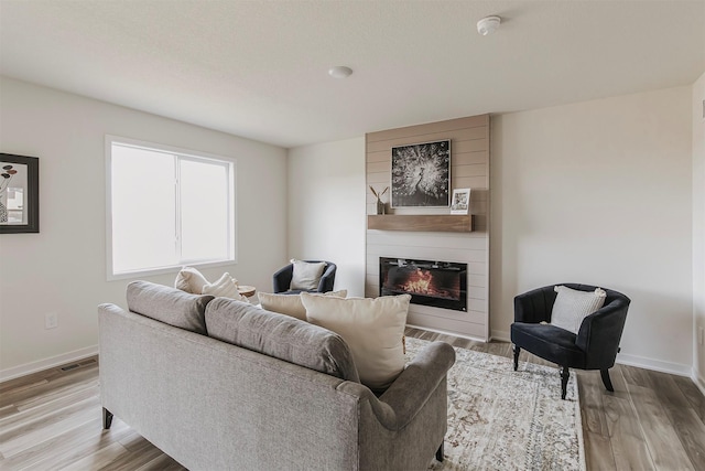 living room featuring a fireplace and light hardwood / wood-style floors