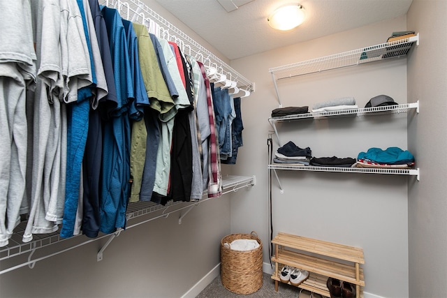 spacious closet with carpet floors