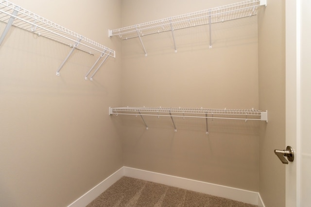 walk in closet featuring carpet floors