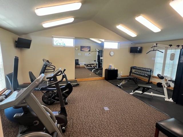 interior space with carpet flooring and lofted ceiling