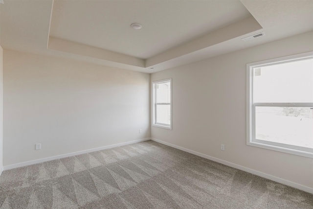 unfurnished room featuring carpet floors and a raised ceiling