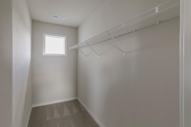 5130 Ella Ivy Ct, Van Meter, IA 50261 - spacious closet featuring carpet floors