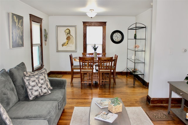 living room featuring wood-type flooring