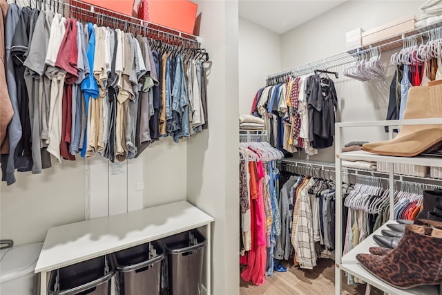 spacious closet featuring wood finished floors