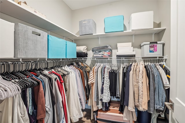 view of spacious closet