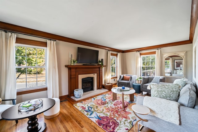 living room featuring a healthy amount of sunlight, light hardwood / wood-style floors, and ornamental molding