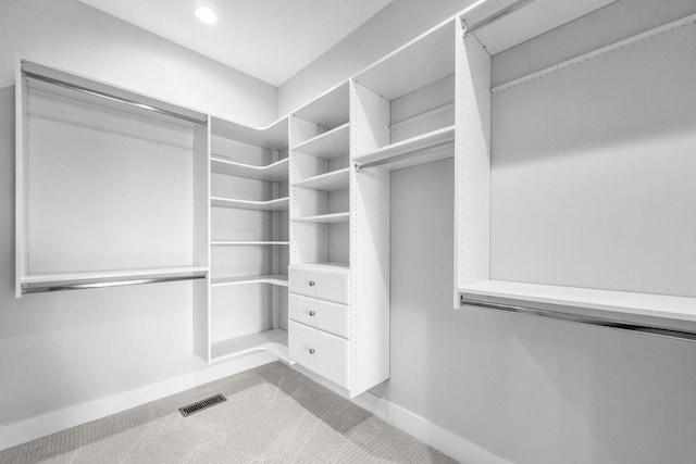 spacious closet featuring carpet