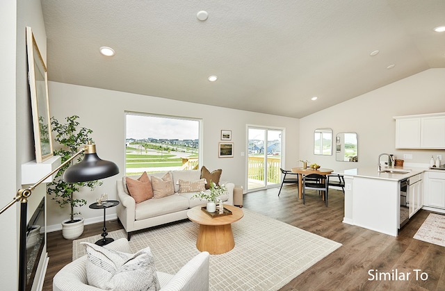 living room with dark hardwood / wood-style flooring, lofted ceiling, and sink