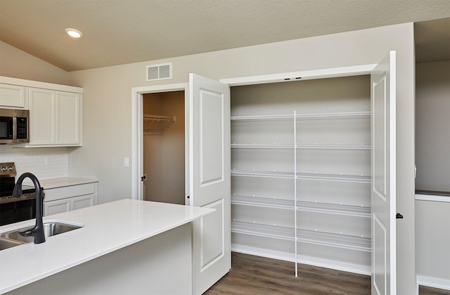 storage area featuring visible vents and a sink