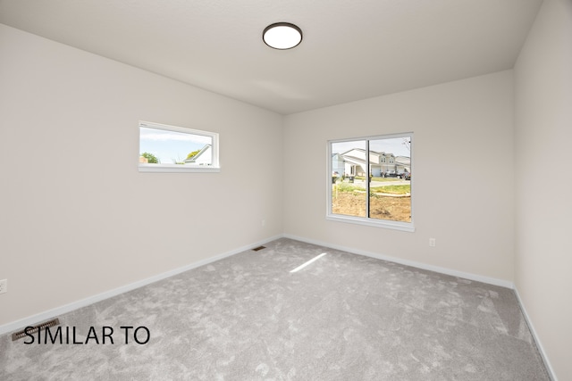 carpeted spare room with a wealth of natural light