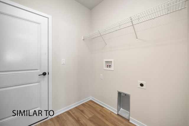 laundry area with wood-type flooring, electric dryer hookup, and washer hookup