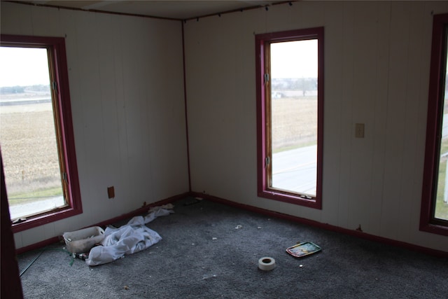 spare room featuring carpet flooring, a wealth of natural light, and wood walls