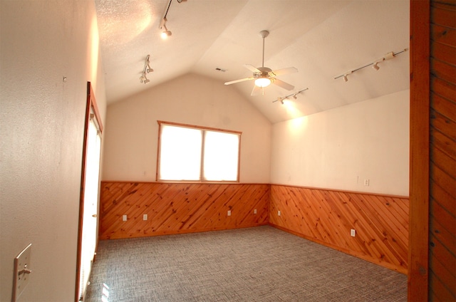 spare room with wood walls, carpet, and track lighting