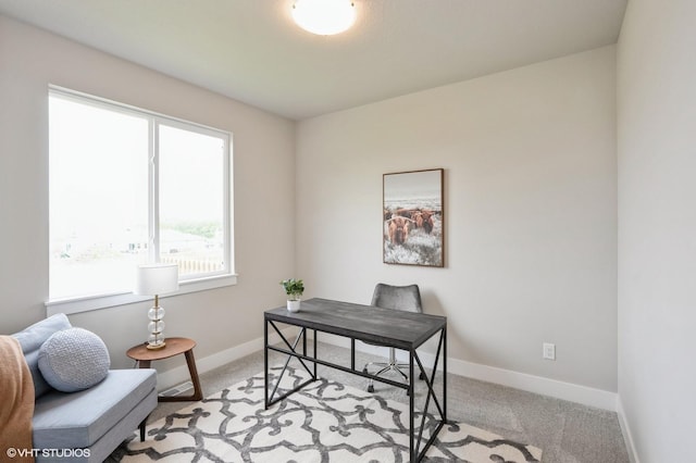 1730 Roebling Rd, Adel, IA 50003 - photo 13