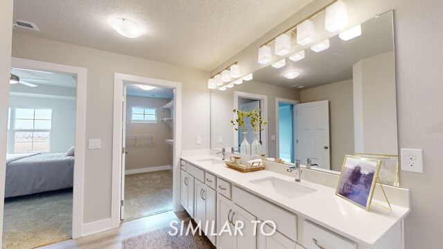 bathroom featuring vanity, wood-type flooring, ceiling fan, and a textured ceiling