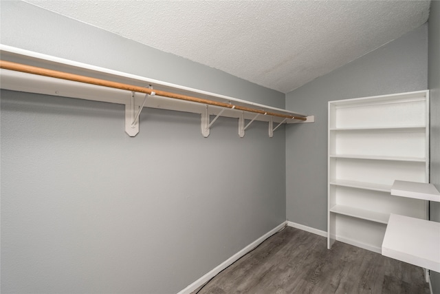 walk in closet with lofted ceiling and dark wood-type flooring