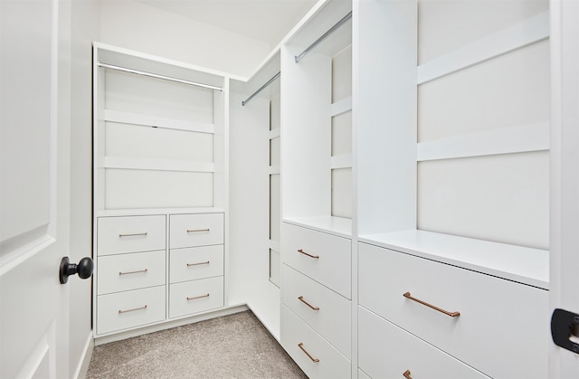 spacious closet with light colored carpet