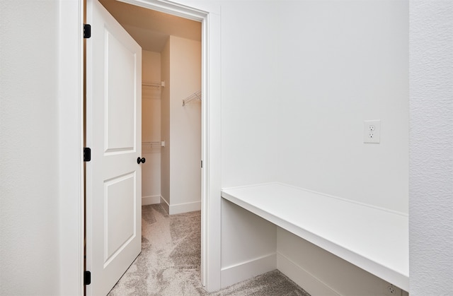 mudroom with light carpet