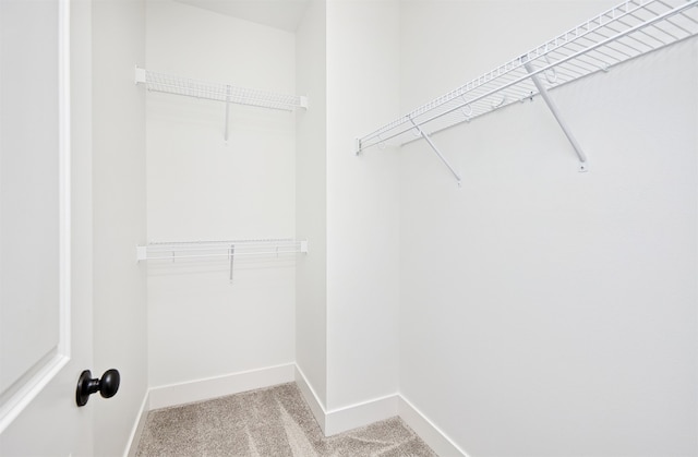 spacious closet with light colored carpet