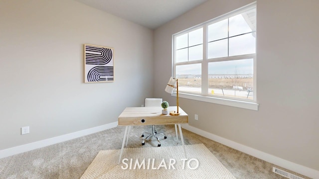 16409 Deerview Dr, Urbandale, IA 50323 - carpeted home office with a healthy amount of sunlight, baseboards, and visible vents