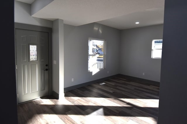 foyer entrance featuring dark hardwood / wood-style floors