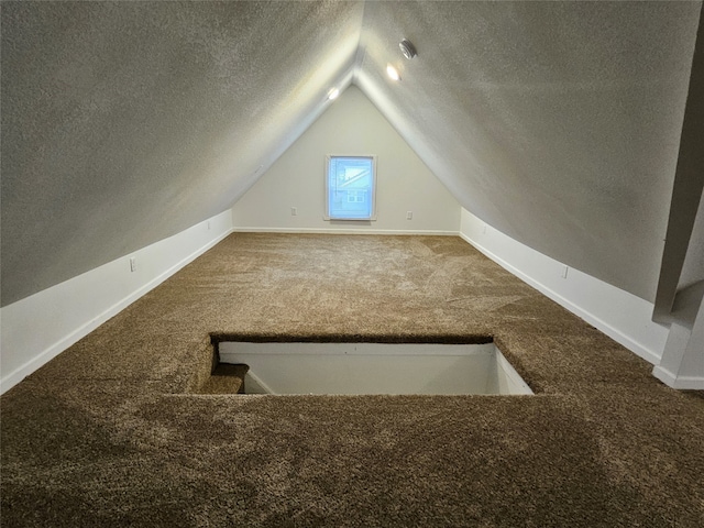 additional living space with carpet flooring, lofted ceiling, and a textured ceiling