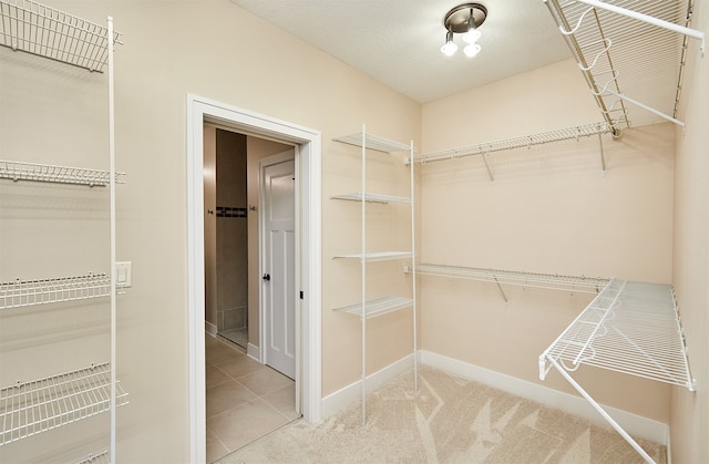 spacious closet with carpet