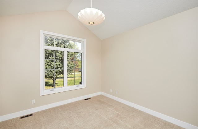 carpeted empty room with vaulted ceiling and a wealth of natural light