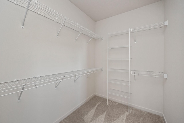 walk in closet with carpet flooring