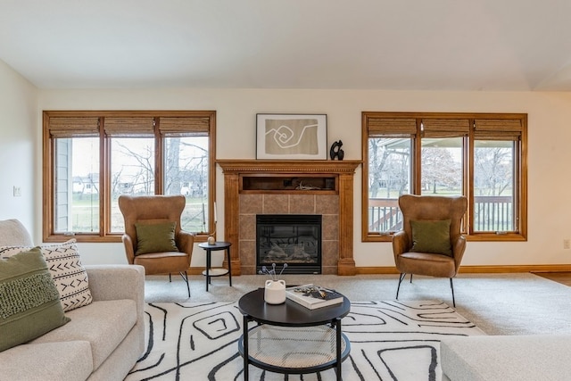 living room featuring a fireplace