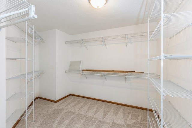 spacious closet featuring carpet flooring