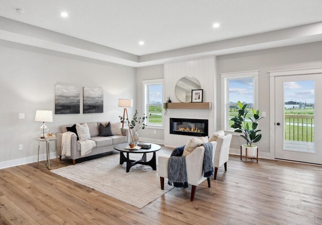 living room with hardwood / wood-style floors and plenty of natural light