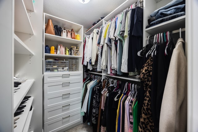 spacious closet with carpet flooring