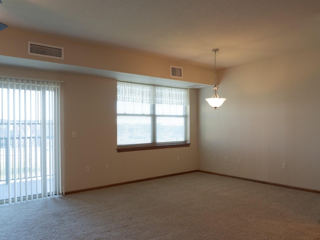 1370 SW Magazine Rd Unit 206, Ankeny, IA 50023 - carpeted empty room with plenty of natural light and baseboards
