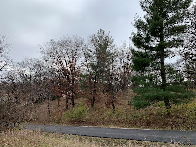 8439 Why Not Ct, Dexter IA, 50070 land for sale