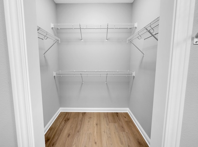 spacious closet featuring wood finished floors