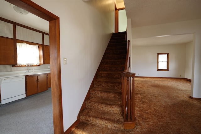 stairway featuring plenty of natural light, carpet, and sink