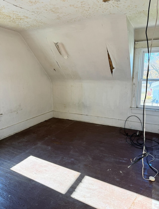 additional living space featuring lofted ceiling