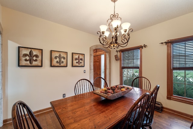 dining room with wood-type flooring, a wealth of natural light, and a chandelier