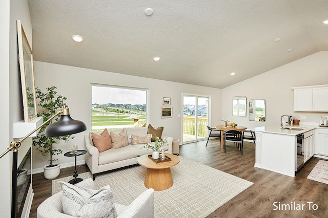 living room with lofted ceiling, sink, dark wood-type flooring, and a textured ceiling