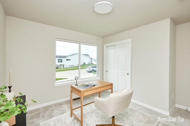 home office featuring light colored carpet