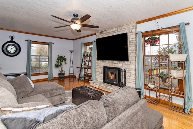 living room with crown molding, hardwood / wood-style flooring, ceiling fan, a fireplace, and a textured ceiling