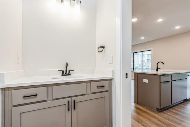 bathroom with vanity and wood-type flooring