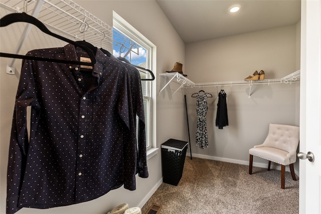 walk in closet featuring carpet flooring