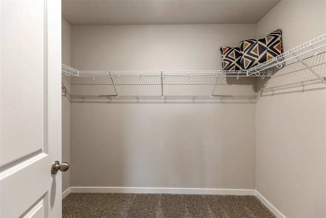 walk in closet with carpet