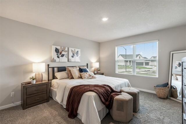 bedroom featuring carpet flooring and a textured ceiling