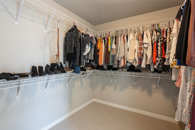 walk in closet featuring carpet floors